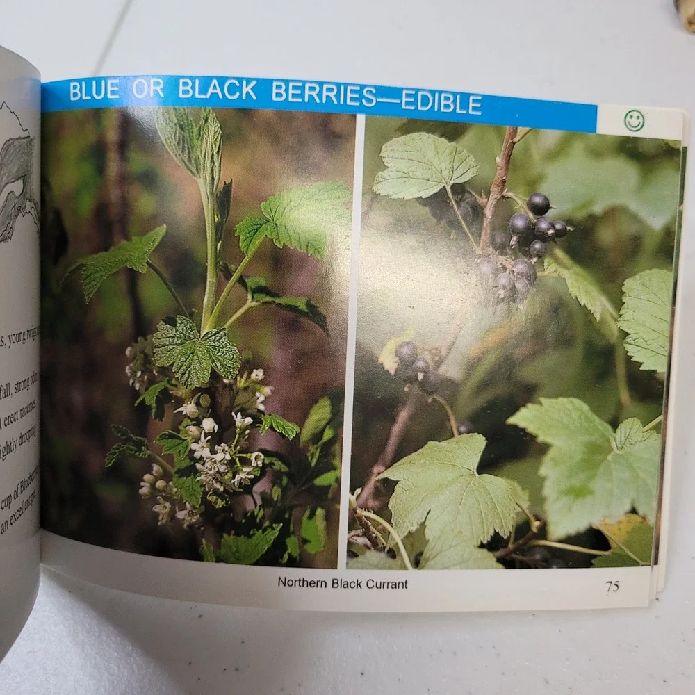 Wild Berries of Alaska Pocket Guide Its‎ the Berries Identification Book